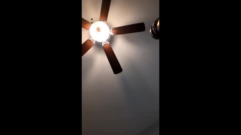 mrorange50187 online show from January 12, 2:52 pm