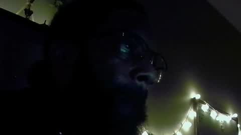 Snapshot of mrreefyreef chatting on November 1, 9:44 am Zaddylongstroke online show from November 1, 9:44 am