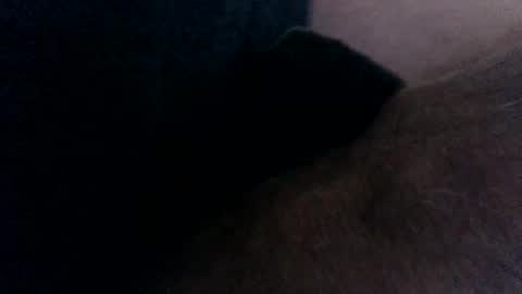 Snapshot of mrtongueopleasure chatting on November 14, 9:24 pm mrtongueopleasure online show from November 14, 9:24 pm