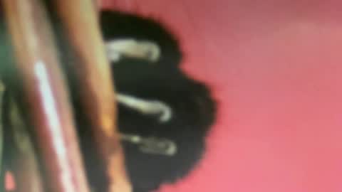 Snapshot of msduss351 chatting on February 2, 1:08 pm msduss351 online show from February 2, 1:08 pm