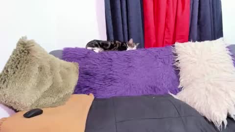 Miss Justine online show from October 31, 1:17 am