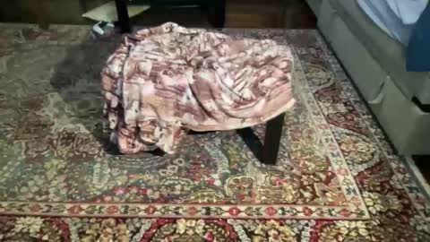 much_fun1 online show from February 1, 3:21 pm