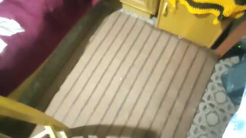 zenon online show from October 26, 2:50 am