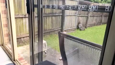 mudjimba online show from December 17, 6:02 am