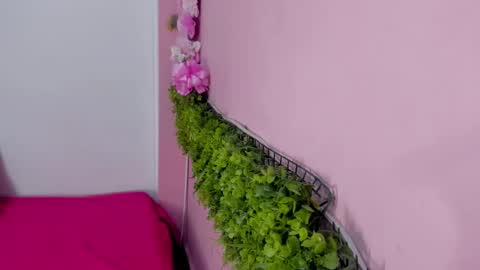 Mulan online show from March 10, 12:43 pm