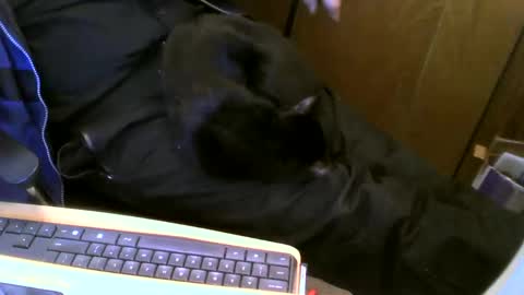 muller520 online show from February 13, 6:48 pm