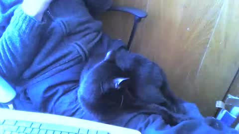 muller520 online show from April 2, 2:26 pm