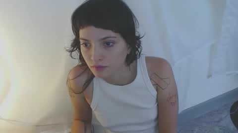   online show from November 19, 4:51 pm