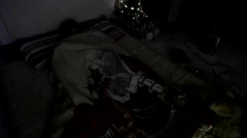 Snapshot of muse_online chatting on December 23, 8:00 am Muse Ali  online show from December 23, 8:00 am