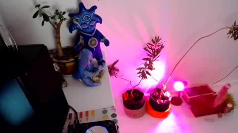 Snapshot of muse_online chatting on December 31, 2:14 pm Muse Ali  online show from December 31, 2:14 pm