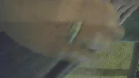 musicman2021 online show from October 26, 3:40 pm