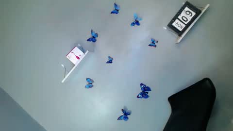 jasmine online show from November 9, 1:20 pm