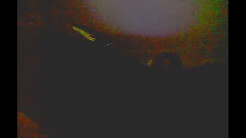 myassfatsowhat online show from January 5, 4:58 am