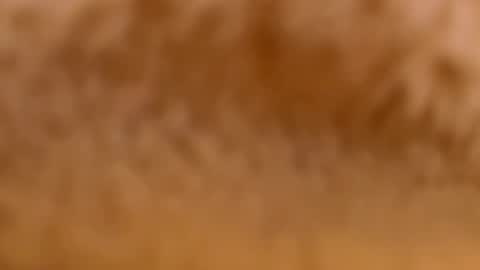 Mya-be Yours P online show from February 12, 9:33 pm