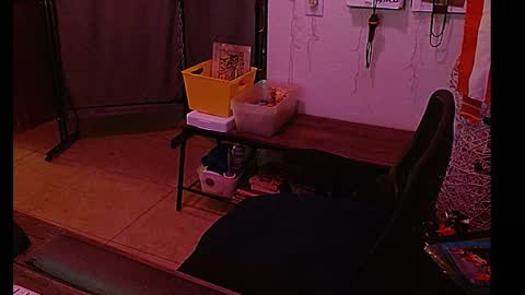 Snapshot of mycock4u247 chatting on January 8, 8:27 am LA MARIPOSA DE MARICOPA online show from January 8, 8:27 am