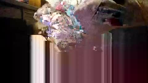 Mmmm Feels Great online show from December 4, 11:19 am