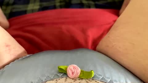 Kitty online show from November 27, 9:55 am