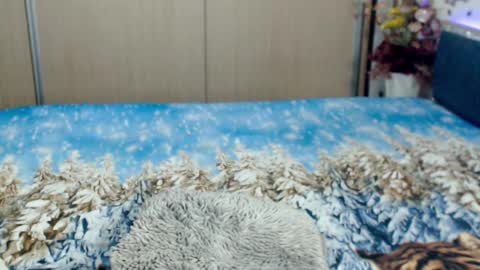 Snapshot of myrabelle24 chatting on March 5, 10:44 am Myrabelle24 online show from March 5, 10:44 am