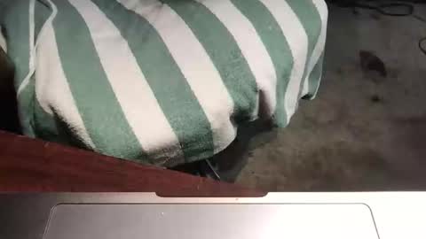 Snapshot of mythickness chatting on January 15, 1:56 am mythickness online show from January 15, 1:56 am