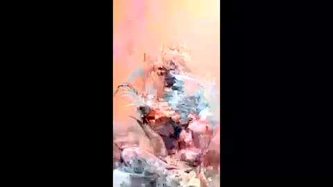 mza274 online show from January 17, 2:38 am