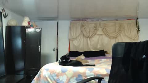 Nadia  online show from December 23, 12:41 am