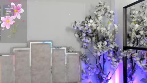 Snapshot of nahomycarterr chatting on May 7, 11:37 am nahomycarterr online show from May 7, 11:37 am