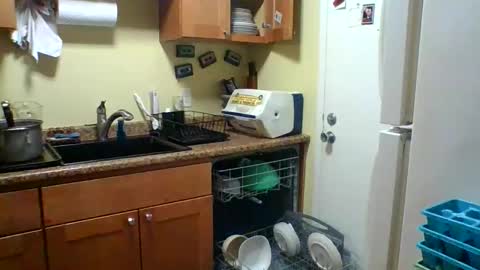 nakedmonkey online show from February 28, 12:33 am