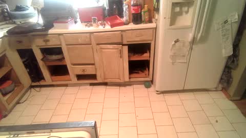 nakednate1780 online show from December 25, 2:23 pm