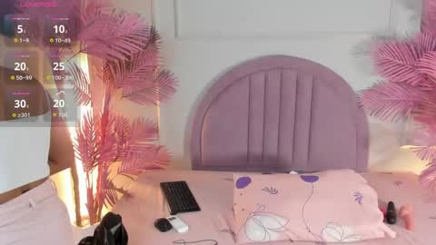 nalapalmer online show from May 24, 11:37 am