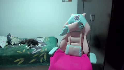 Nami online show from February 7, 11:01 am