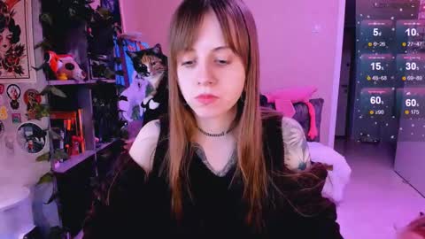 Monday-Friday 12-4 AM and 6-9 AM New York time online show from February 24, 11:52 pm