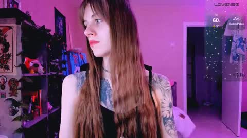 Monday-Friday 12-4 AM and 6-9 AM New York time online show from February 26, 8:44 pm