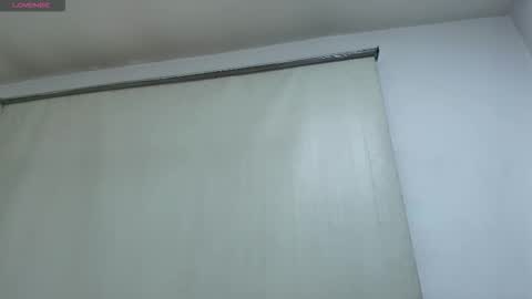 Snapshot of naomy_tay1 chatting on December 23, 3:26 am Naomy online show from December 23, 3:26 am