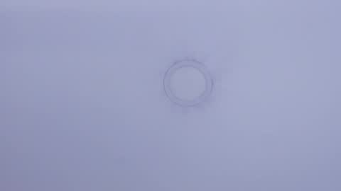 Maira online show from February 3, 6:28 pm