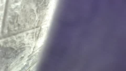 natalieevansx online show from November 16, 3:39 pm