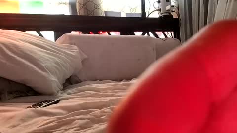 Snapshot of nativeboi22 chatting on February 3, 5:03 pm Haven online show from February 3, 5:03 pm