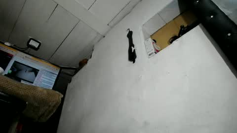 natalia online show from June 23, 2:09 am