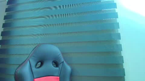 Kitten online show from February 18, 10:33 am