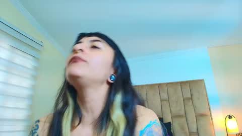 Kitten online show from March 4, 6:03 pm