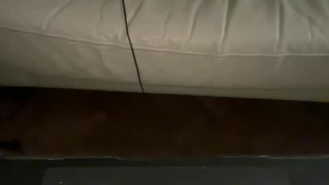 navigatingtothesky online show from November 18, 11:48 pm