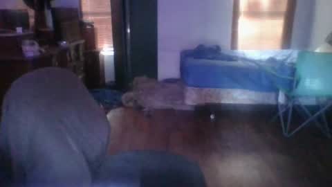 ned is naughty online show from June 24, 12:31 am