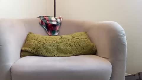 NvrSats911 online show from December 21, 6:34 pm