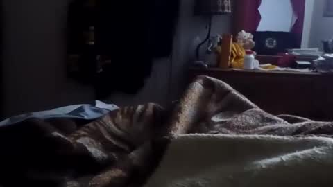 Matt online show from January 15, 10:31 am