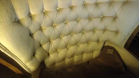 Lilly  online show from January 25, 10:28 pm