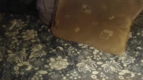 Lilly  online show from November 28, 4:37 am