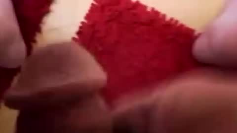 Snapshot of newbookwriter chatting on December 2, 6:09 am BookWriter online show from December 2, 6:09 am