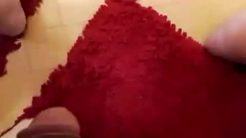 Snapshot of newbookwriter chatting on December 7, 8:33 am BookWriter online show from December 7, 8:33 am