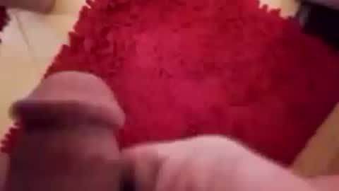 Snapshot of newbookwriter chatting on December 12, 7:30 am BookWriter online show from December 12, 7:30 am