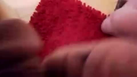 Snapshot of newbookwriter chatting on December 13, 8:20 am BookWriter online show from December 13, 8:20 am