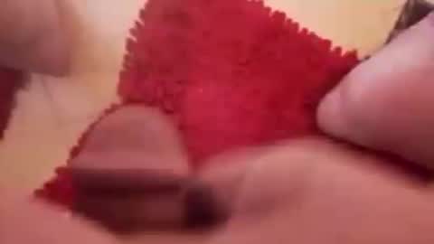 Snapshot of newbookwriter chatting on December 20, 8:17 am BookWriter online show from December 20, 8:17 am